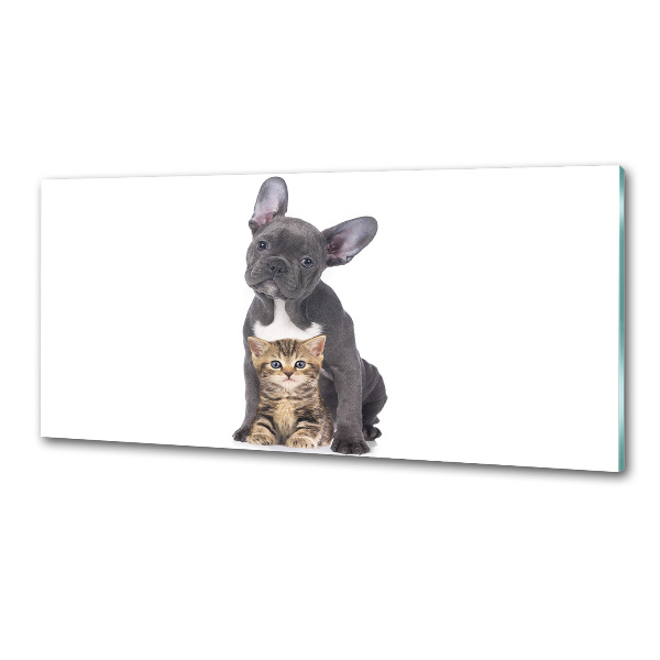 Crédence cuisine en verre trempé Chien et chat