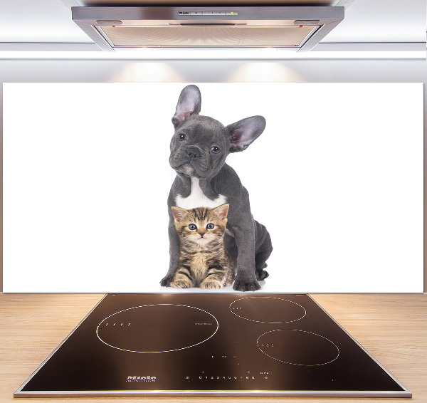 Crédence cuisine en verre trempé Chien et chat