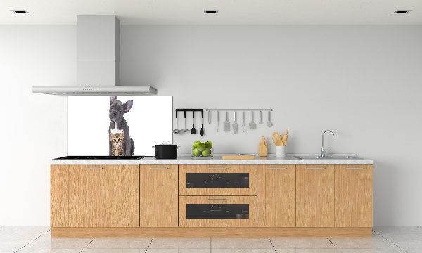 Crédence cuisine en verre trempé Chien et chat