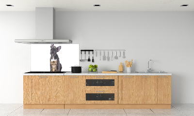 Crédence cuisine en verre trempé Chien et chat