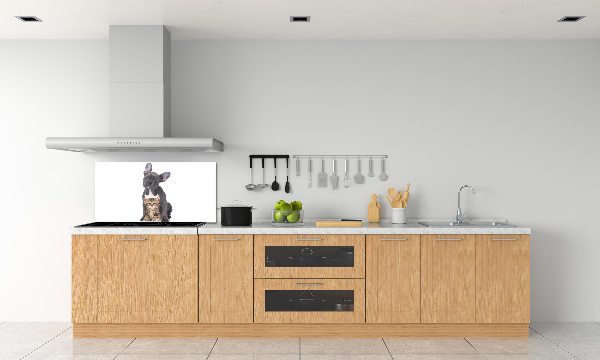 Crédence cuisine en verre trempé Chien et chat