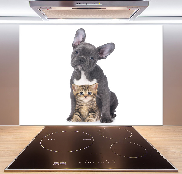 Crédence cuisine en verre trempé Chien et chat