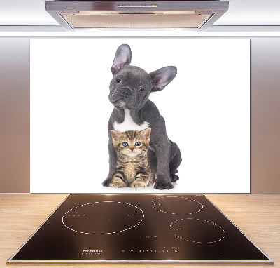 Crédence cuisine en verre trempé Chien et chat