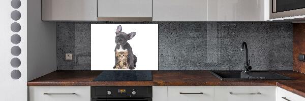 Crédence cuisine en verre trempé Chien et chat