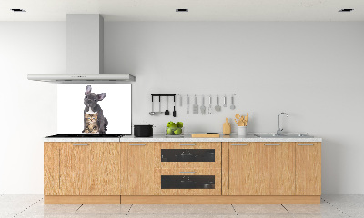 Crédence cuisine en verre trempé Chien et chat