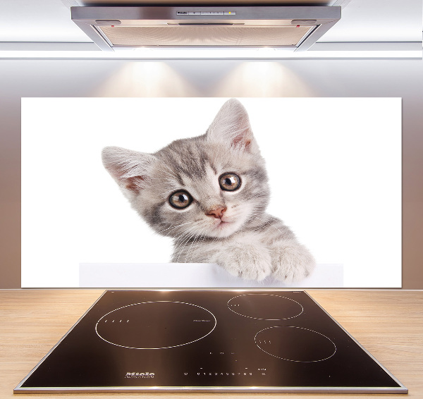 Crédence cuisine en verre Chat gris