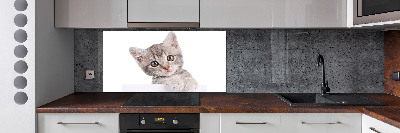 Crédence cuisine en verre Chat gris