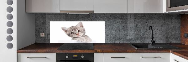 Crédence cuisine en verre Chat gris