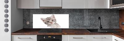 Crédence cuisine en verre Chat gris