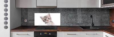 Crédence cuisine en verre Chat gris