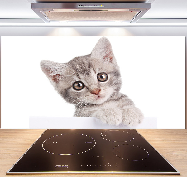 Crédence cuisine en verre Chat gris