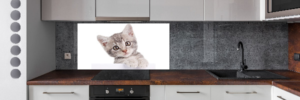 Crédence cuisine en verre Chat gris