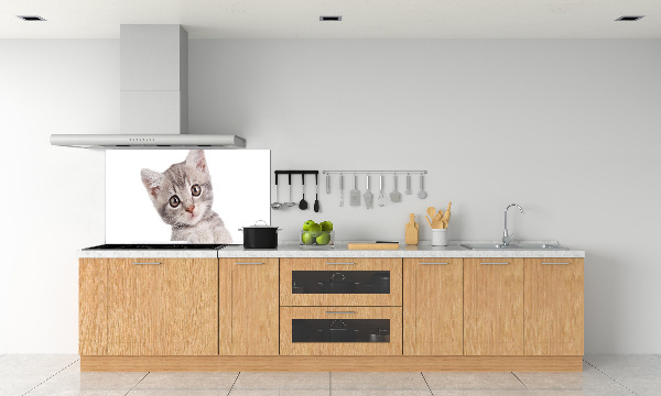Crédence cuisine en verre Chat gris