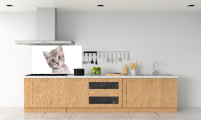 Crédence cuisine en verre Chat gris