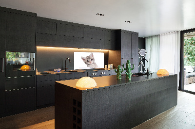 Crédence cuisine en verre Chat gris
