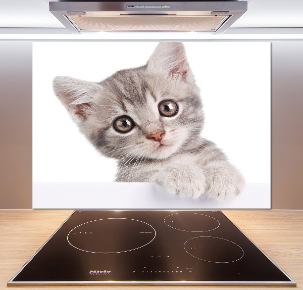 Crédence cuisine en verre Chat gris