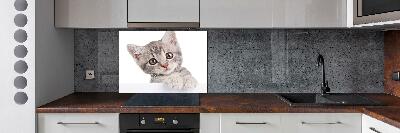 Crédence cuisine en verre Chat gris