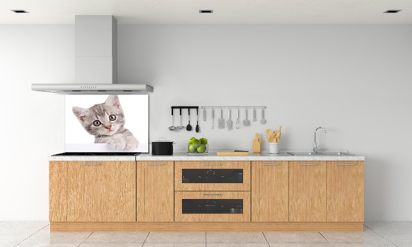 Crédence cuisine en verre Chat gris