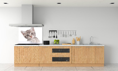 Crédence cuisine en verre Chat gris