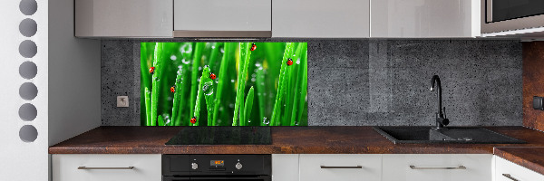 Panneaux muraux cuisine Coccinelles sur l'herbe