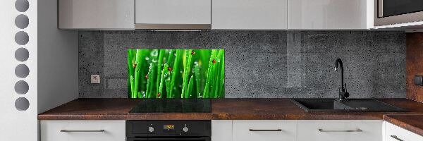 Panneaux muraux cuisine Coccinelles sur l'herbe