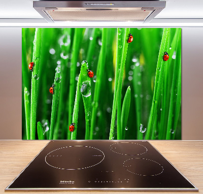 Panneaux muraux cuisine Coccinelles sur l'herbe