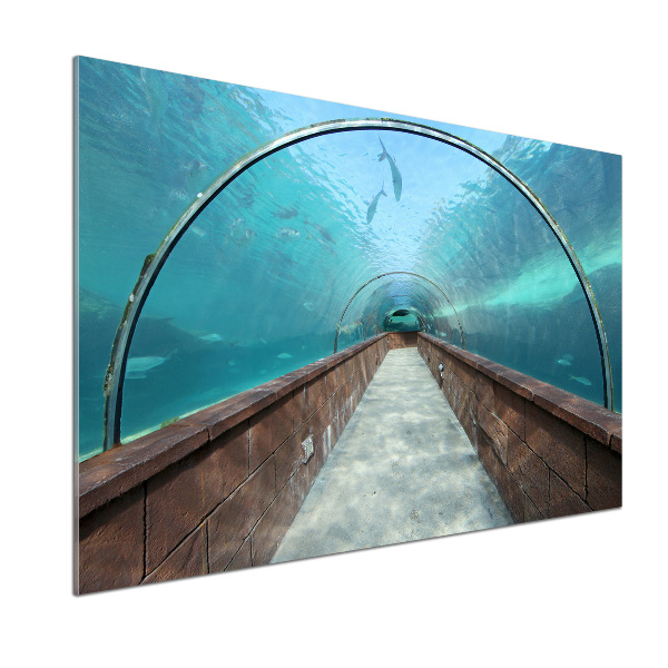 Crédence en verre Tunnel aquarium
