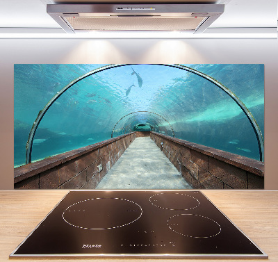 Crédence en verre Tunnel aquarium