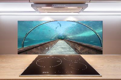 Crédence en verre Tunnel aquarium