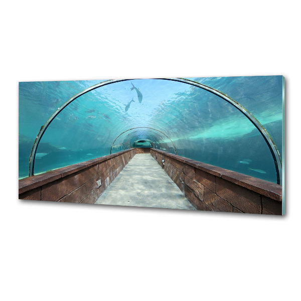 Crédence en verre Tunnel aquarium