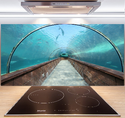 Crédence en verre Tunnel aquarium