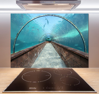 Crédence en verre Tunnel aquarium