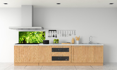 Crédence cuisine en verre Feuilles de hêtre
