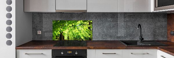 Crédence cuisine en verre Feuilles de hêtre