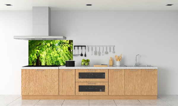 Crédence cuisine en verre Feuilles de hêtre