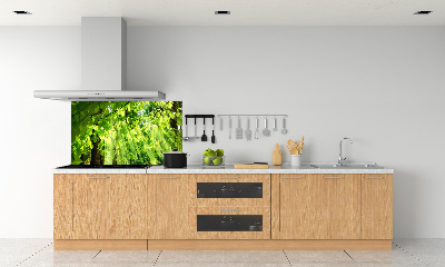 Crédence cuisine en verre Feuilles de hêtre