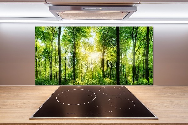 Panneaux muraux cuisine Forêt au soleil