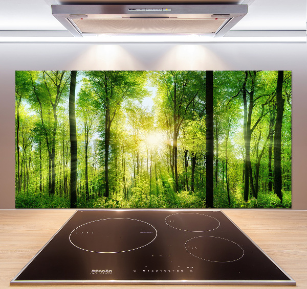 Panneaux muraux cuisine Forêt au soleil