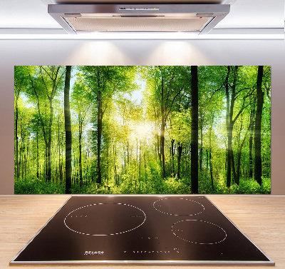 Panneaux muraux cuisine Forêt au soleil