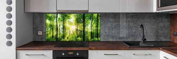 Panneaux muraux cuisine Forêt au soleil