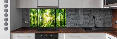 Panneaux muraux cuisine Forêt au soleil