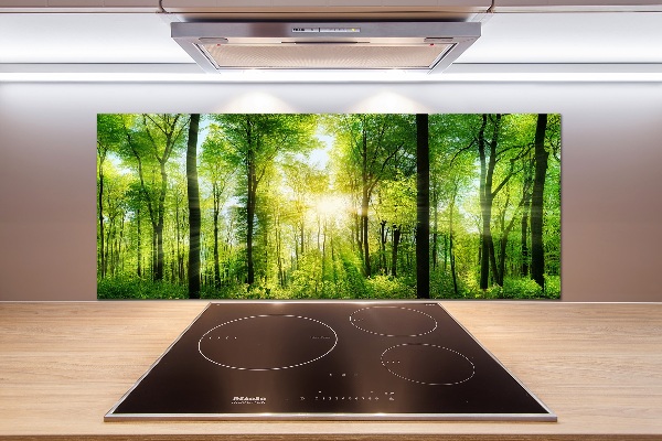 Panneaux muraux cuisine Forêt au soleil