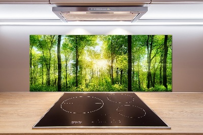Panneaux muraux cuisine Forêt au soleil