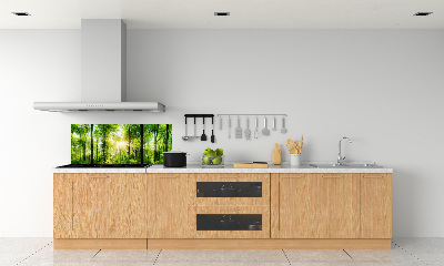 Panneaux muraux cuisine Forêt au soleil