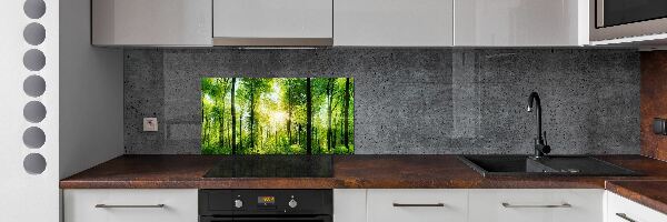 Panneaux muraux cuisine Forêt au soleil