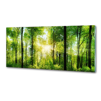 Panneaux muraux cuisine Forêt au soleil