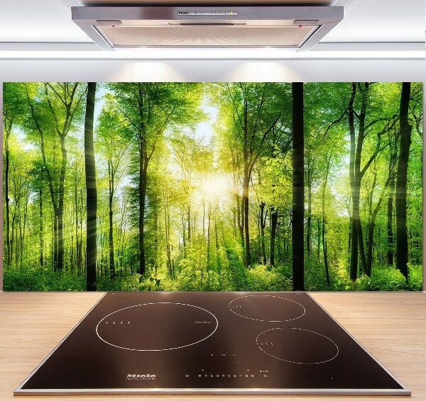 Panneaux muraux cuisine Forêt au soleil