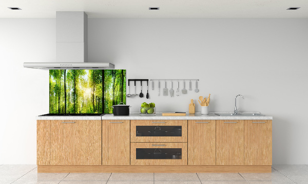 Panneaux muraux cuisine Forêt au soleil