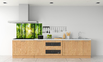 Panneaux muraux cuisine Forêt au soleil