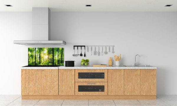 Panneaux muraux cuisine Forêt au soleil